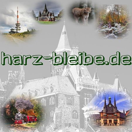 Harz-Bleibe Wernigerode Apartment ภายนอก รูปภาพ