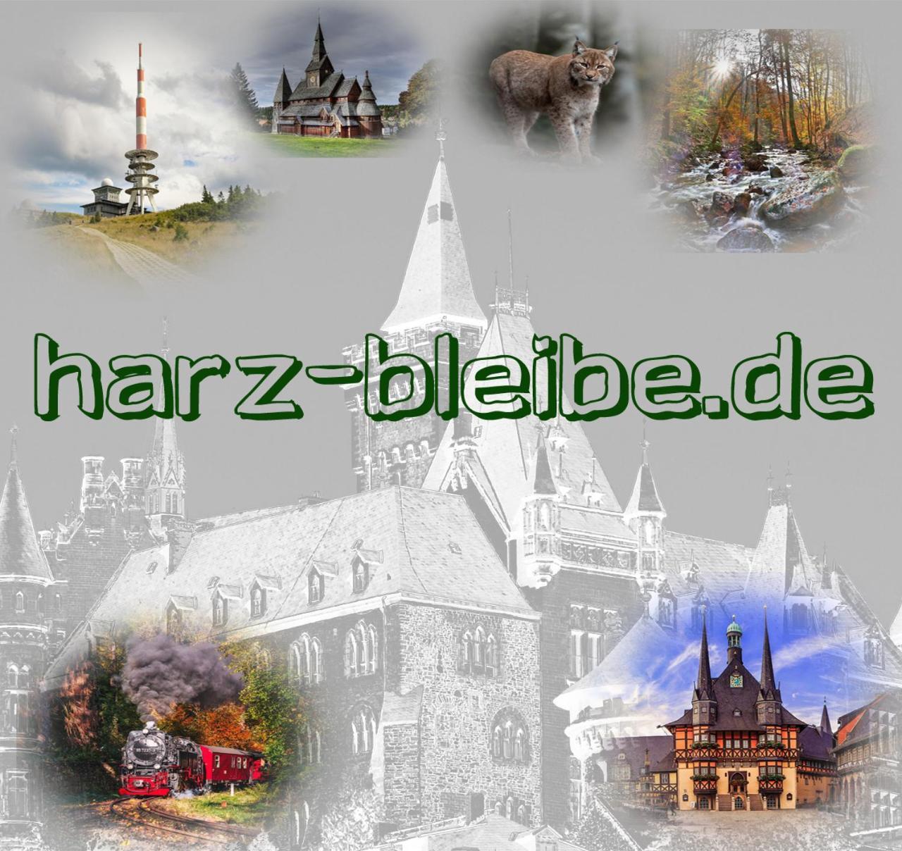 Harz-Bleibe Wernigerode Apartment ภายนอก รูปภาพ